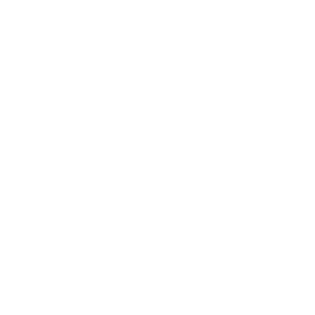 Silver Strength Icon